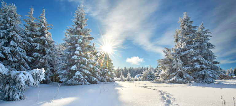 Vacances d’hiver
